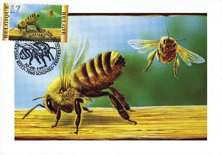 Pszczelarstwo w filatelistyce KARTY MAKSIMUM